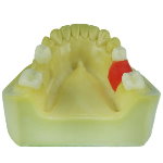 L008-150