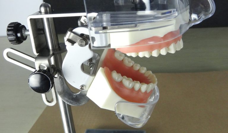 P001 Manikin Phantom Head model
